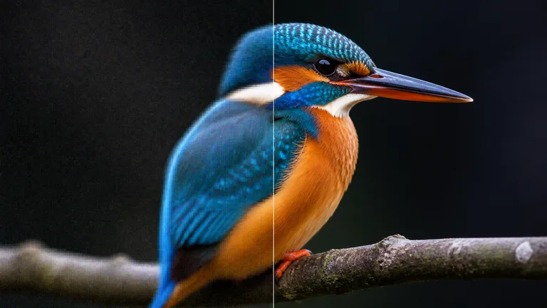 Side-by-side preview of an image before and after AI enhancement